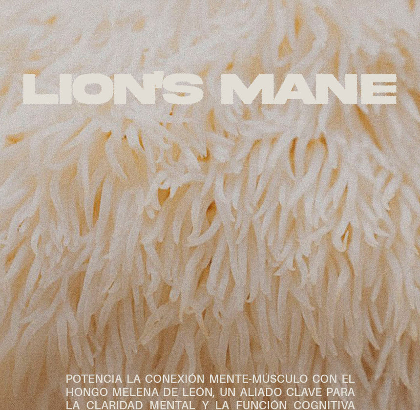 Lion's Mane
